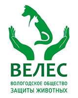 Партнер Велес
