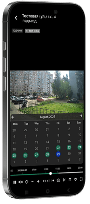 возможности домофона елемент