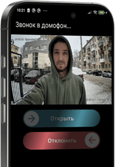 Скриншот из приложения. Звонок в домофон