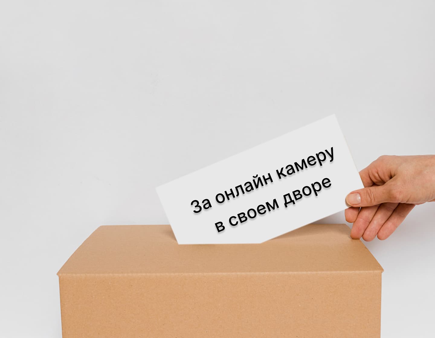 Голосование за онлайн-камеру